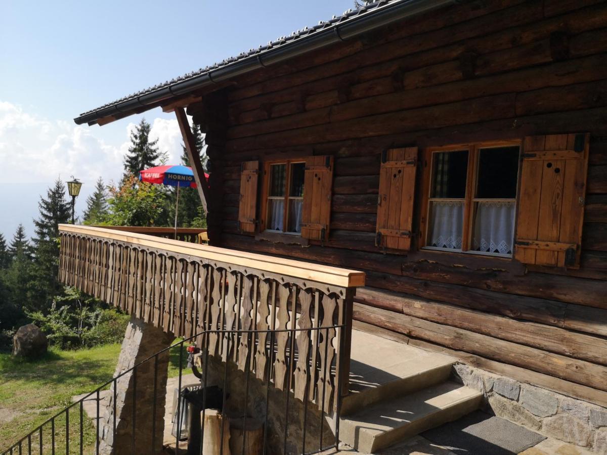 Almhaus Oedlstein Vila Sankt Stefan im Lavanttal Exterior foto